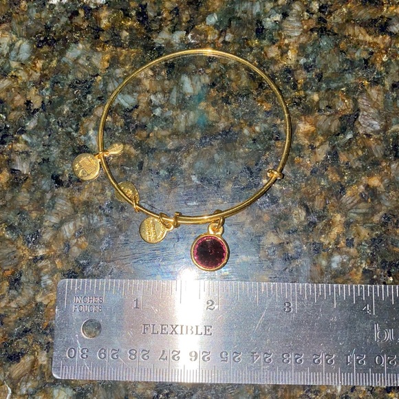 ALEX AND ANI February Birthstone Bangle Bracelet - Picture 2 of 7